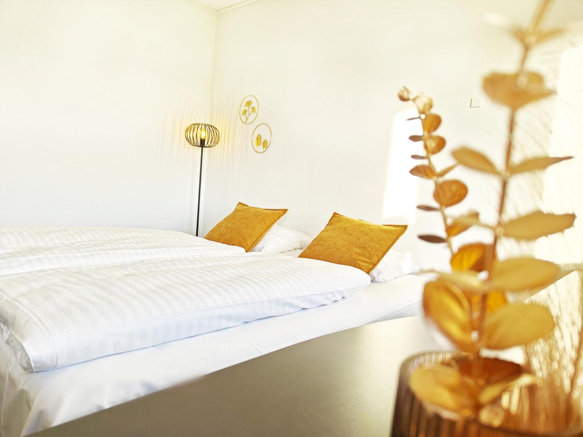 Hotel Svanegarden 科瑟 外观 照片